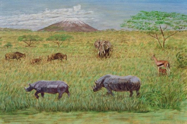 africa2.jpg